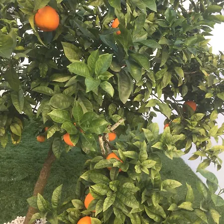 Vn Mountain Views Porto Villa