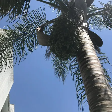 Vn Mountain Views Porto *