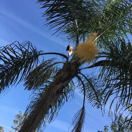 Vn Mountain Views Porto Villa